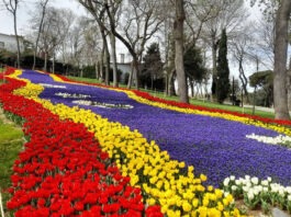 hacer gratis en estambul