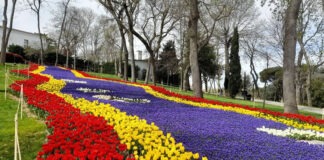 hacer gratis en estambul