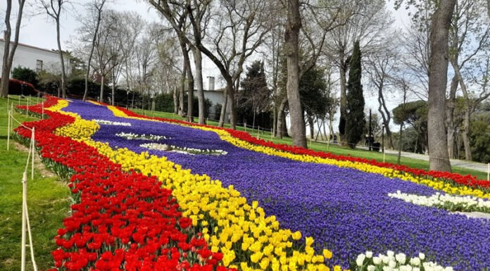 hacer gratis en estambul